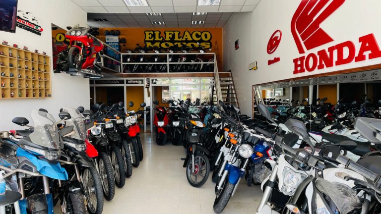 foto003 13 768x432