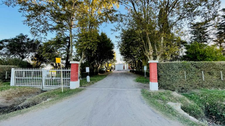 foto003 6 768x432