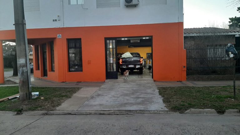 Foto001 14 768x432