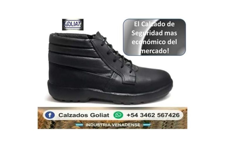 Foto004 6 768x500