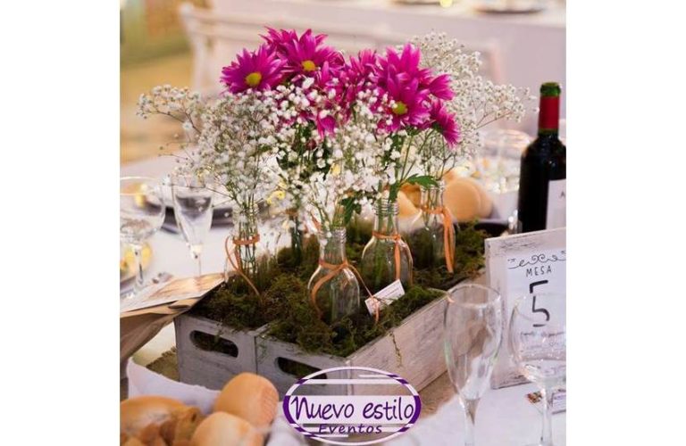 Fotos002 4 768x500