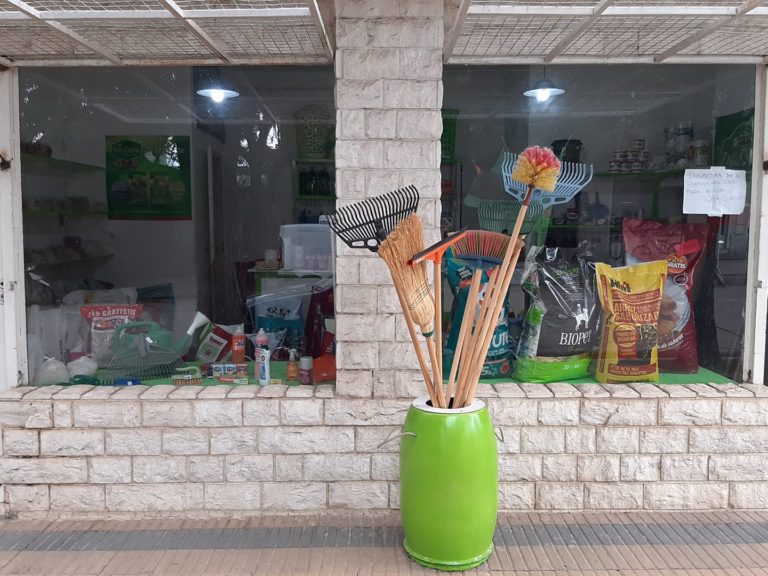 fotos1 768x576