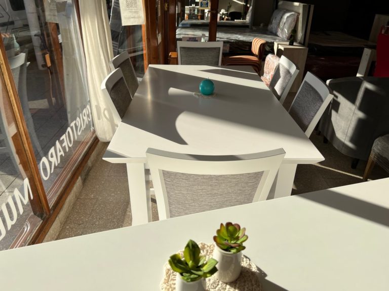 Foto004 18 768x576