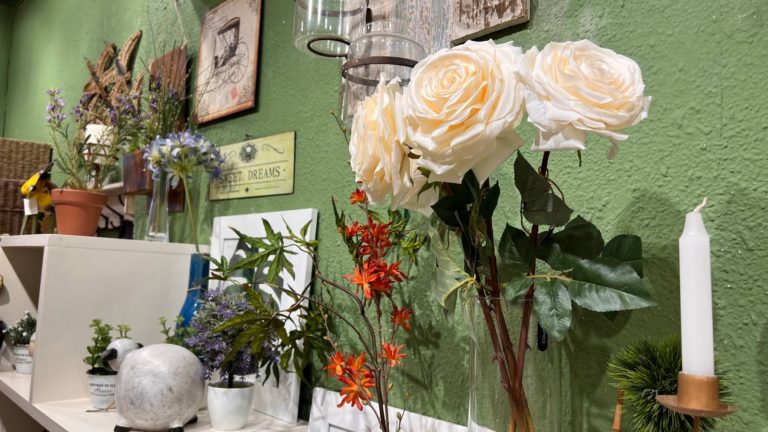 Foto011 1 768x432