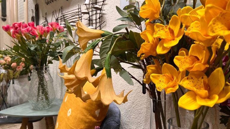 Foto012 1 768x432