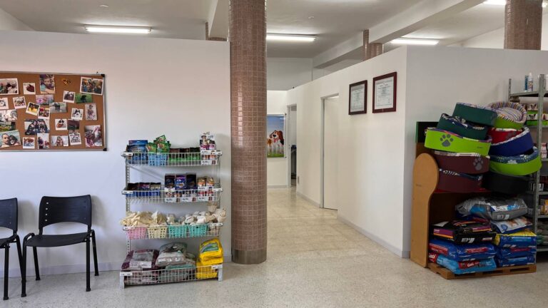 Foto001 3 768x432
